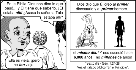 Evolucion 1