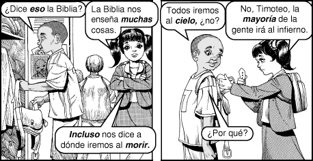 Evolucion 2